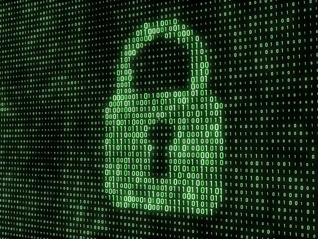 Network Wiring and Cybersecurity